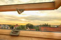 rated Bannister Green roof window companies